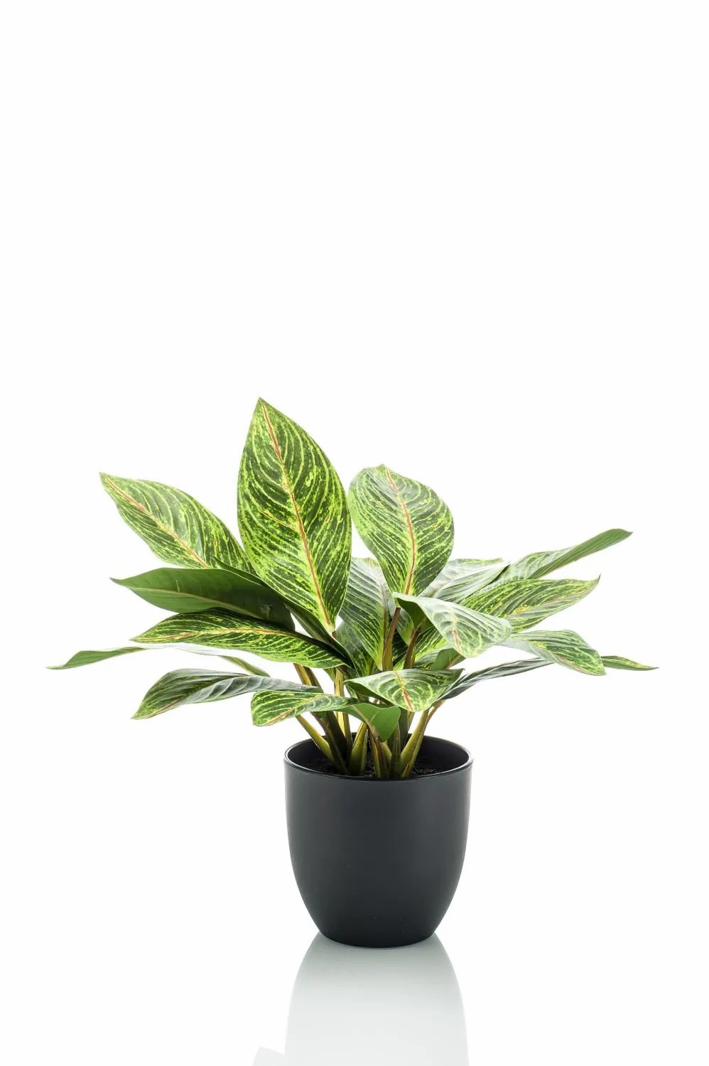 Calathea | Artificial Calathea Ornata Vaida In Decorative Pot, Green-Yellow, 16"/40Cm Artificial Plants Calathea