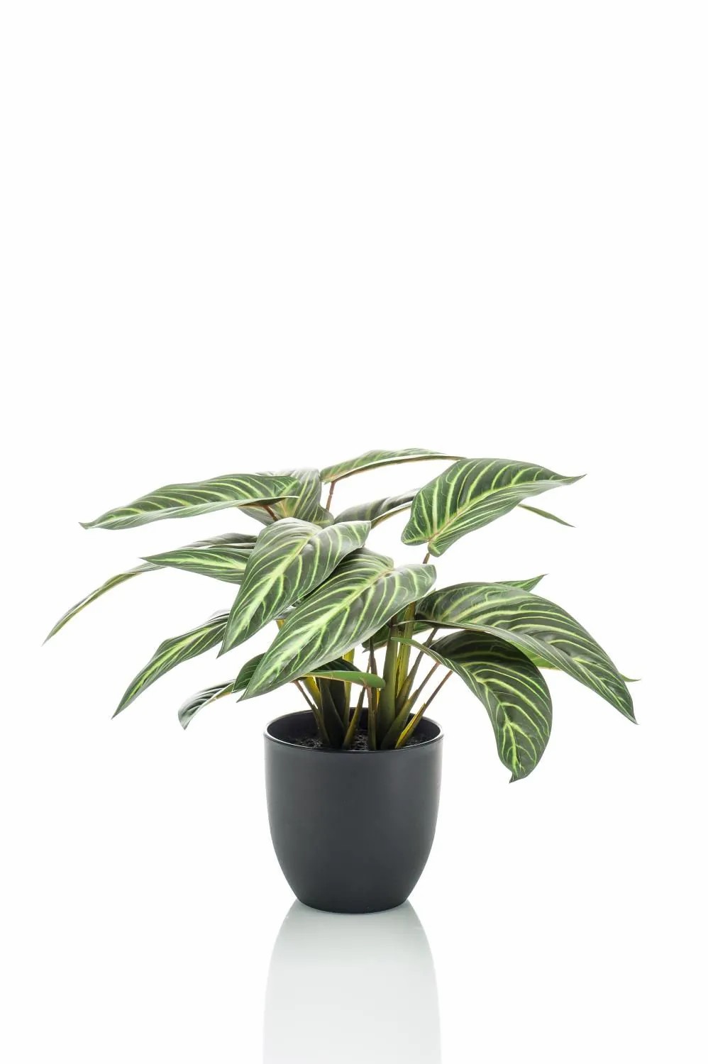 Calathea | Artificial Calathea Zebrina Vaida In Decorative Pot, Green-White, 16"/40Cm Artificial Plants Calathea