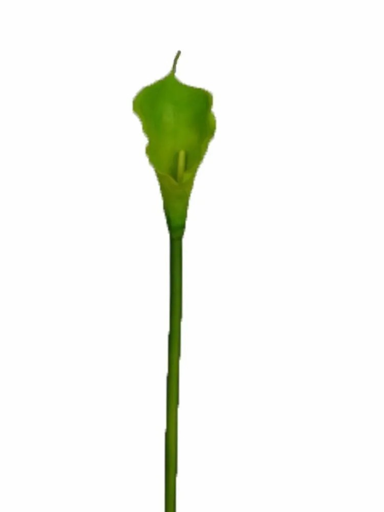 Calla | Artificial Calla Dou, Green, 28"/70Cm Artificial Flowers Calla