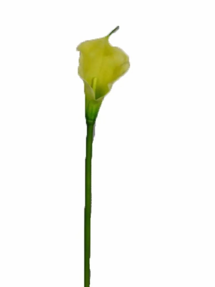 Calla | Artificial Calla Dou, Yellow-Green, 28"/70Cm Artificial Flowers Calla