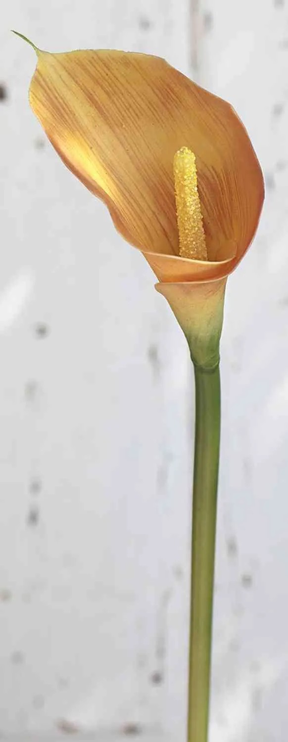 Calla | Artificial Calla Lily Eveline, Orange, 28"/70Cm, 2"X3.1"/5X8Cm Artificial Flowers Calla