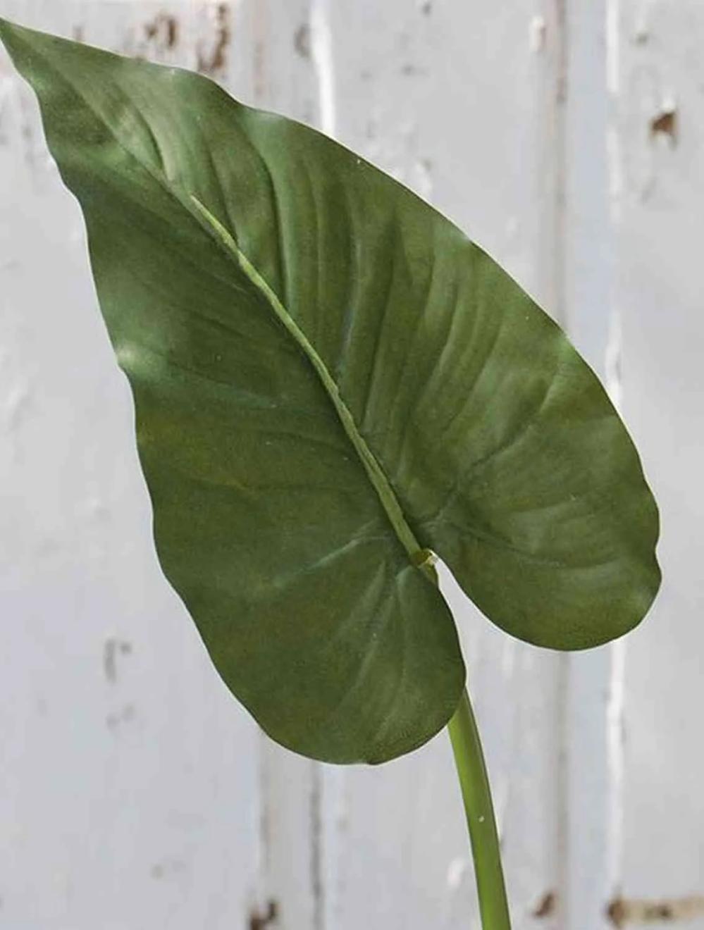 Calla | Artificial Calla Lily Leaf Yella, Green, 33"/85Cm Artificial Flowers Calla