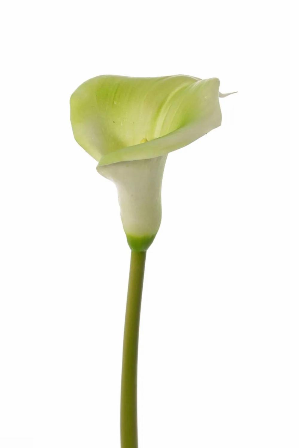 Calla | Artificial Calla Mirac, Green-White, 30"/75Cm, 5.1"X6"/13X15Cm Artificial Flowers Calla