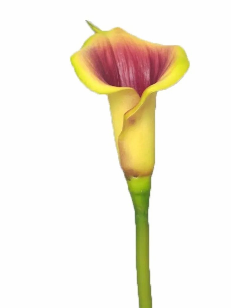 Calla | Artificial Calla Shunya, Yellow-Purple, 26"/65Cm Artificial Flowers Calla