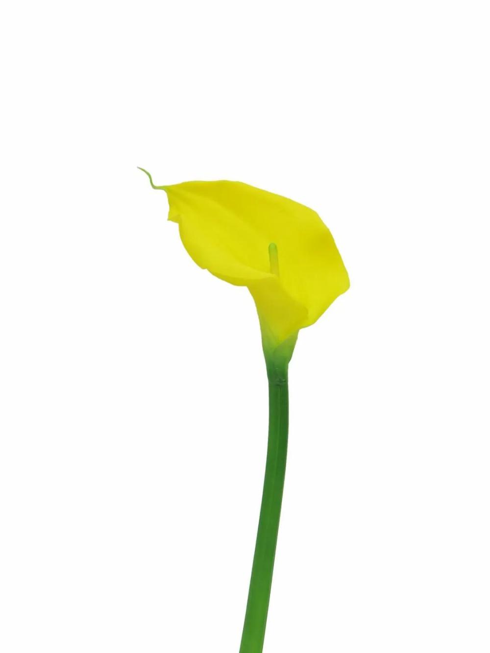 Calla | Artificial Calla Zhilong, Yellow, 22"/55Cm Artificial Flowers Calla