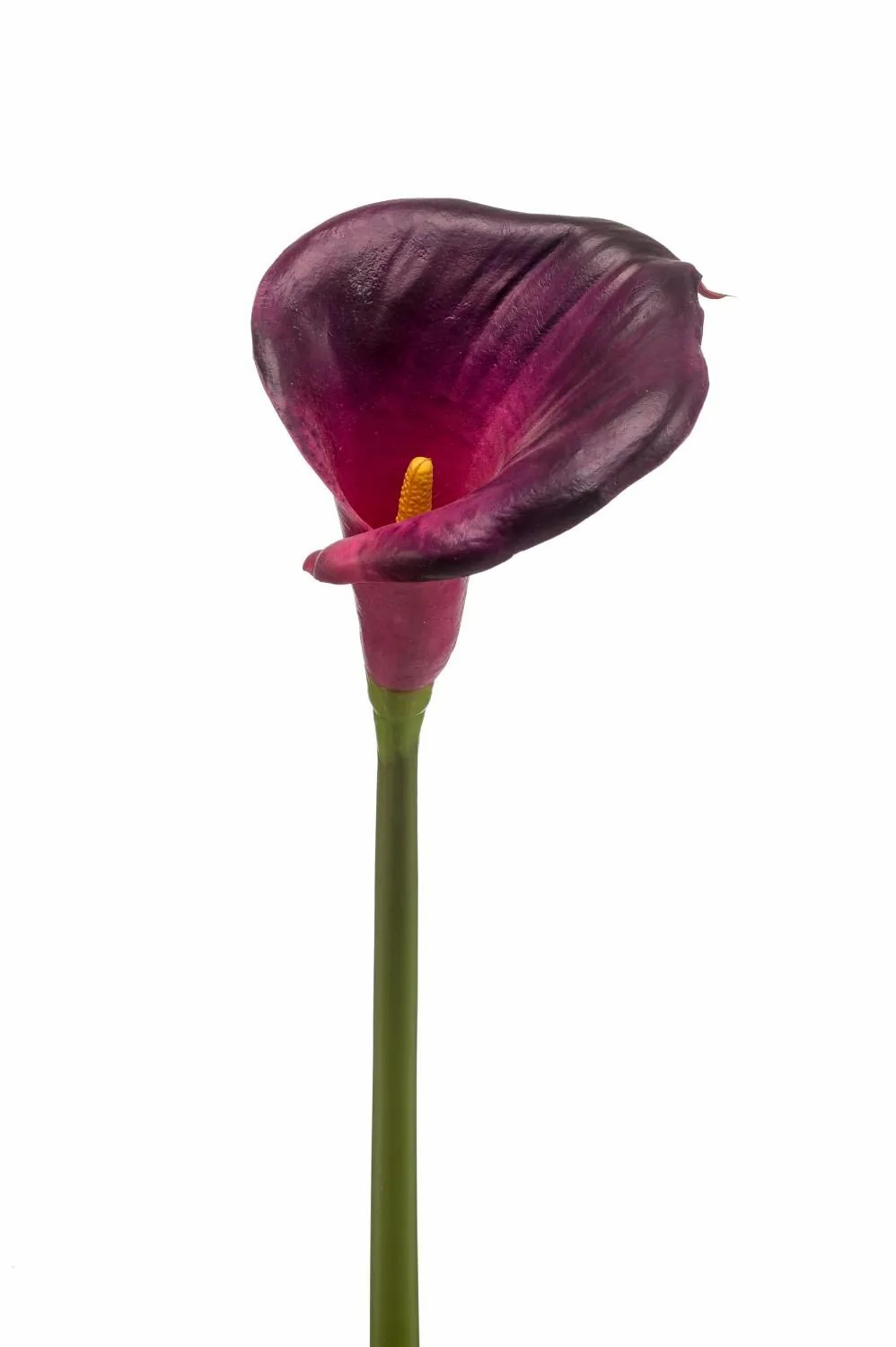 Calla | Calla Lily Silk Flower Daischi, Burgundy-Red, 28"/70 Cm Artificial Flowers Calla