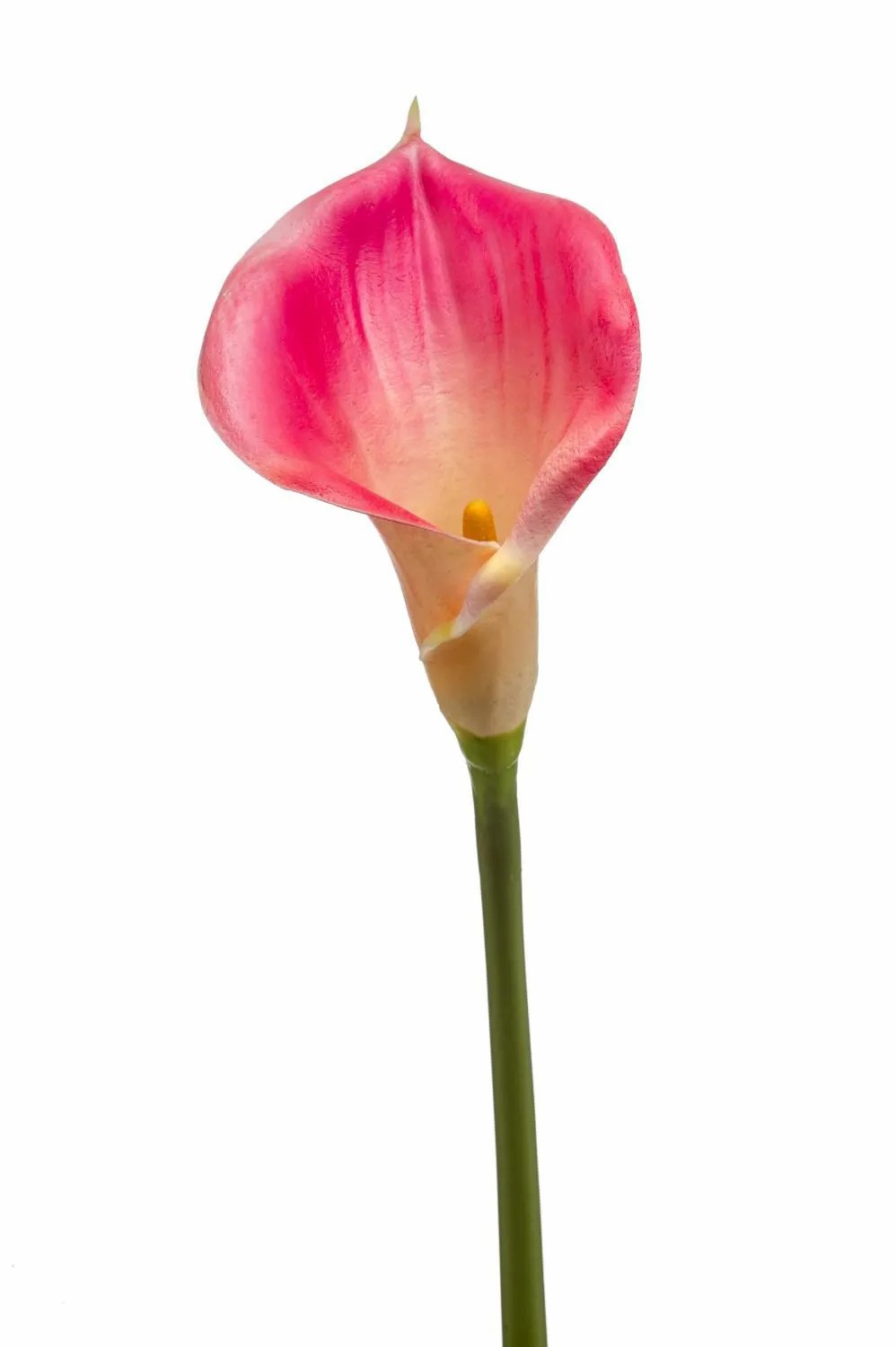 Calla | Calla Lily Silk Flower Daischi, Pink-Cream, 28"/70 Cm Artificial Flowers Calla