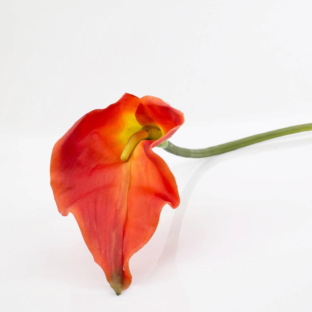 Calla | Silk Calla Cristina, Orange, 3Ft/105Cm, 5.5"X11"/14X27Cm Artificial Flowers Calla