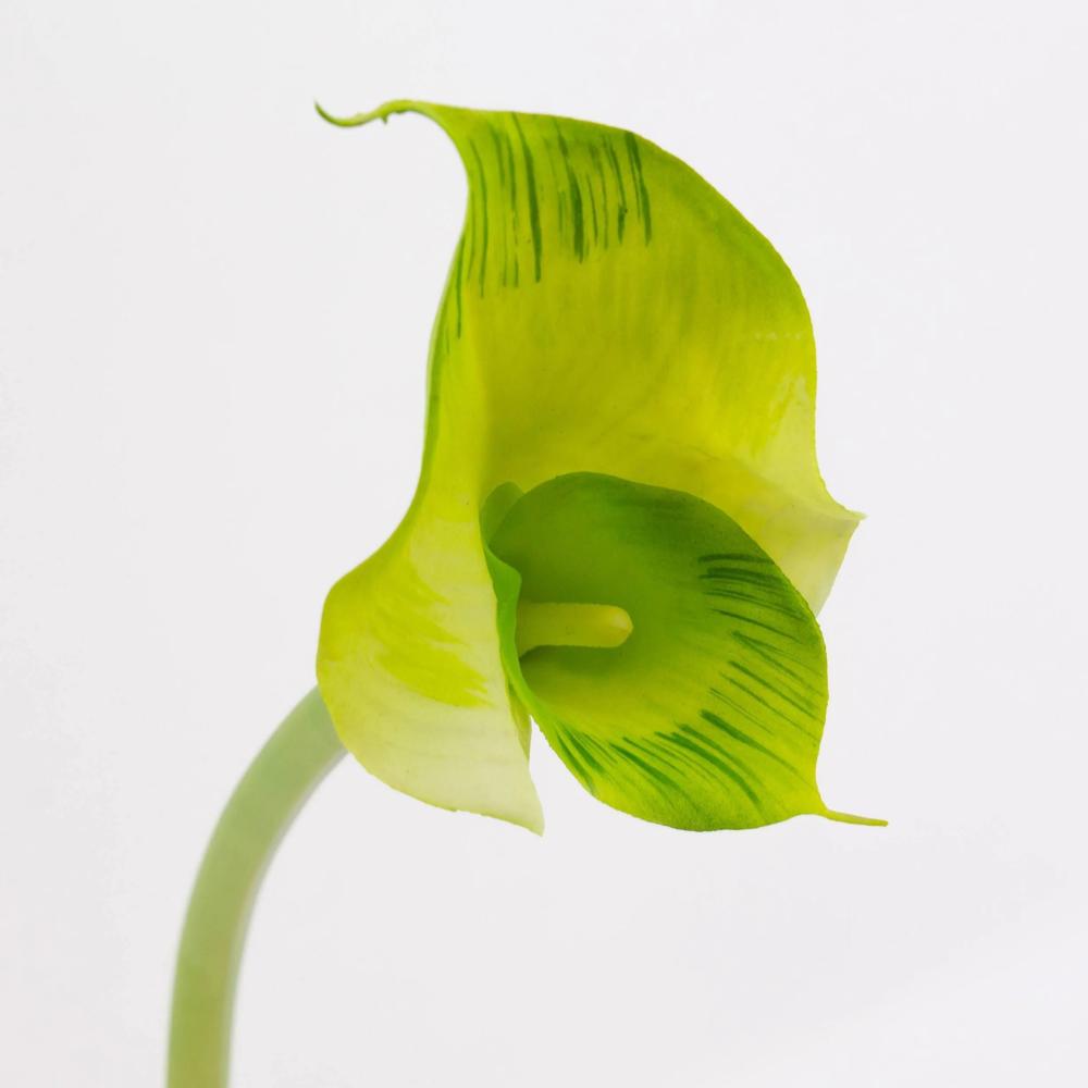 Calla | Silk Calla Mariola, Green, 31"/80Cm, Ø3.1"X6"/8X15Cm Artificial Flowers Calla