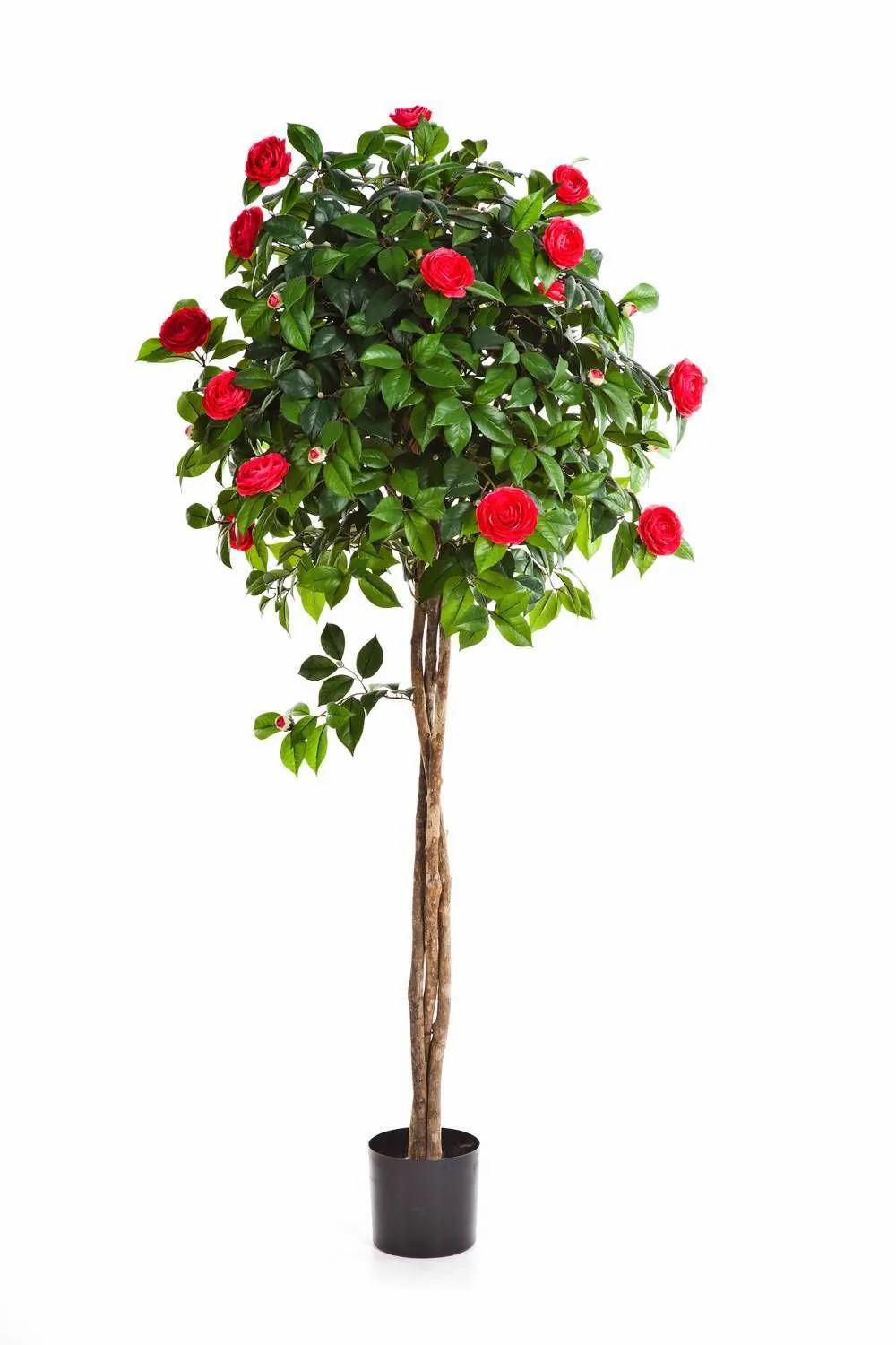 Camellia | Fake Camellia Tree Erina, Real Stems, With Flowers, Pink, 4Ft/130Cm Artificial Trees Camellia