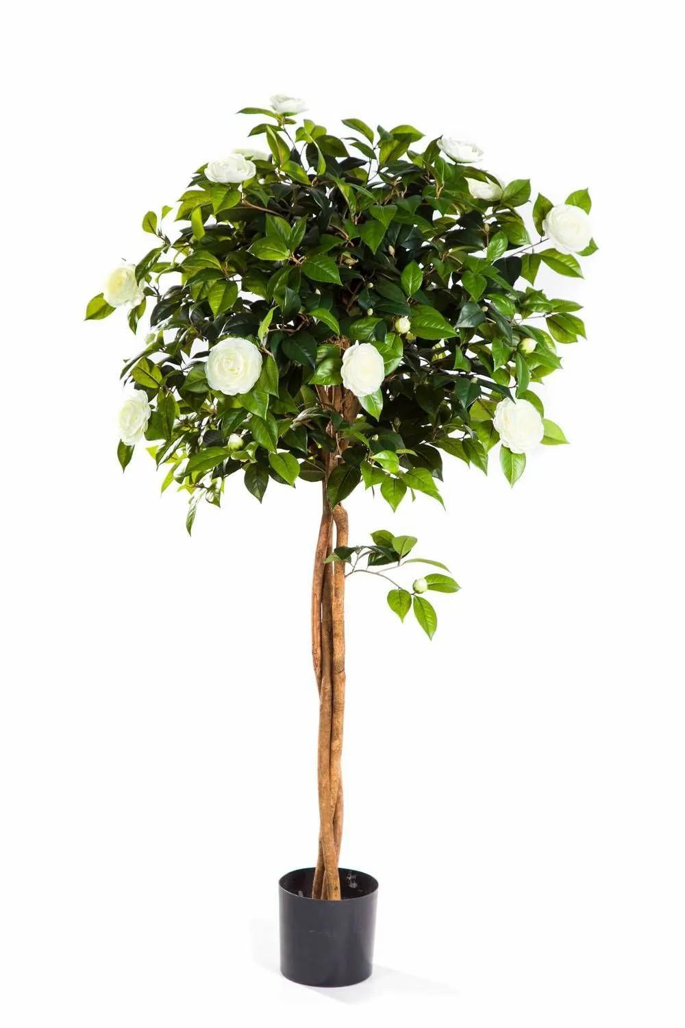 Camellia | Fake Camellia Tree Erina, Real Stems, With Flowers, White, 4Ft/130Cm Artificial Trees Camellia