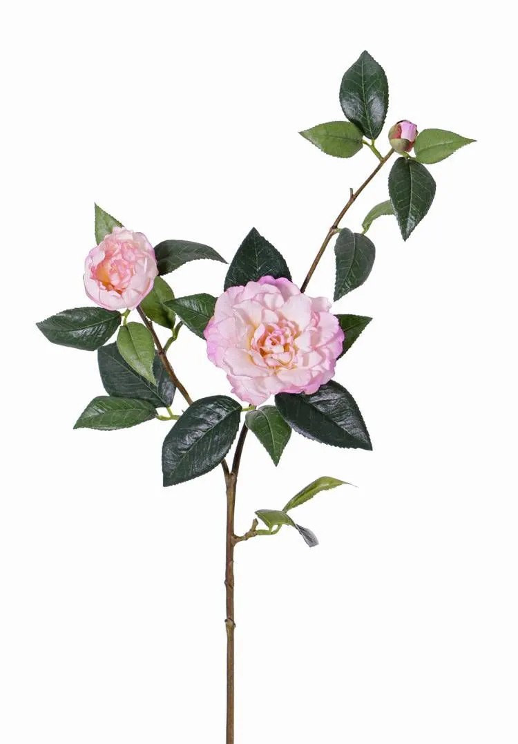 Camellia | Silk Camellia Branch Rixa With Flowers, Pink, 33"/85Cm, Ø2"-4"/5-10Cm Artificial Flowers Camellia