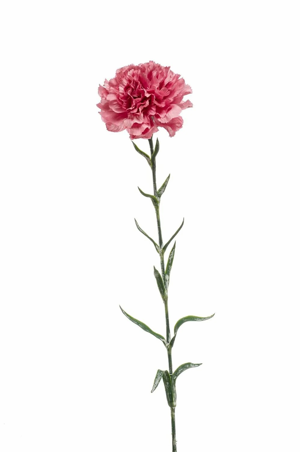 Carnation | Artificial Carnation Nirusha, Old Rose, 26"/65 Cm Artificial Flowers Carnation