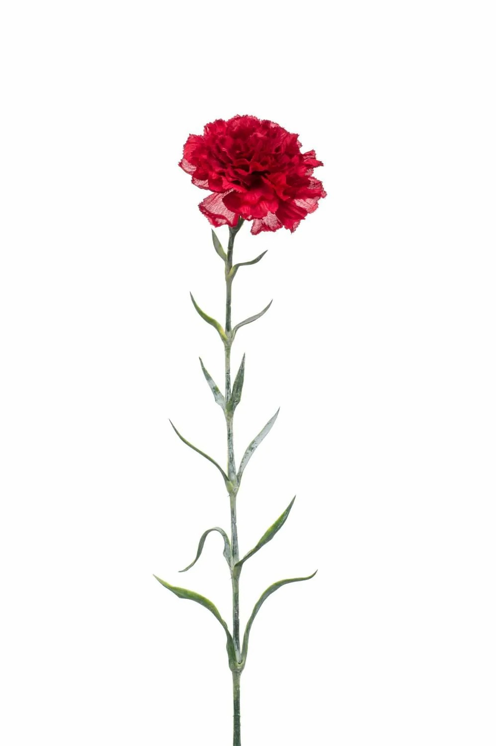 Carnation | Artificial Carnation Nirusha, Red, 26"/65Cm Artificial Flowers Carnation