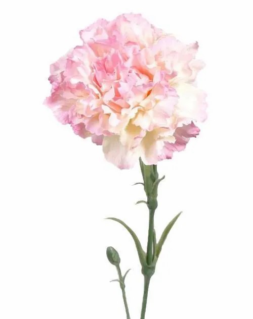 Carnation | Artificial Carnation Vanera, Pink-White, 24"/60Cm, Ø3.1"/8Cm Artificial Flowers Carnation