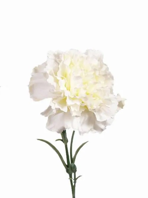 Carnation | Artificial Carnation Vanera, White, 24"/60Cm, Ø3.1"/8Cm Artificial Flowers Carnation