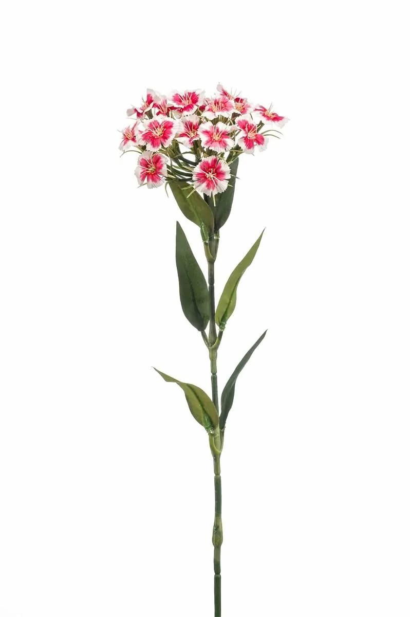 Carnation | Artificial Dianthus Barbatus Beeke, White-Fuchsia, 20"/50Cm Artificial Flowers Carnation