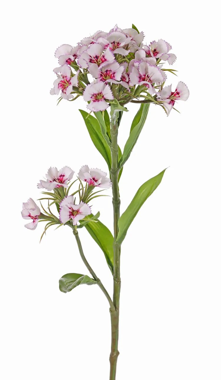 Carnation | Artificial Sweet William Archie, Cream-Pink, 24"/60Cm, Ø2.8"-6"/7-16Cm Artificial Flowers Carnation