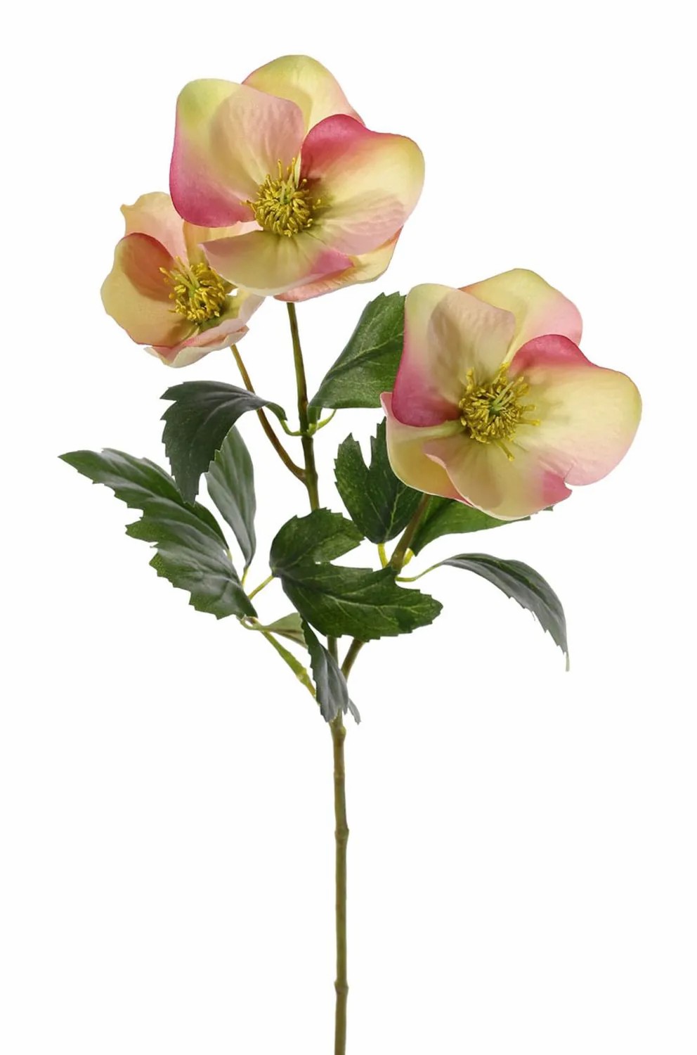 Christmas rose | Artificial Christmas Rose Akrab, Cream-Pink, 18"/45Cm, Ø2"-3.1"/5-8Cm Artificial Flowers Christmas rose