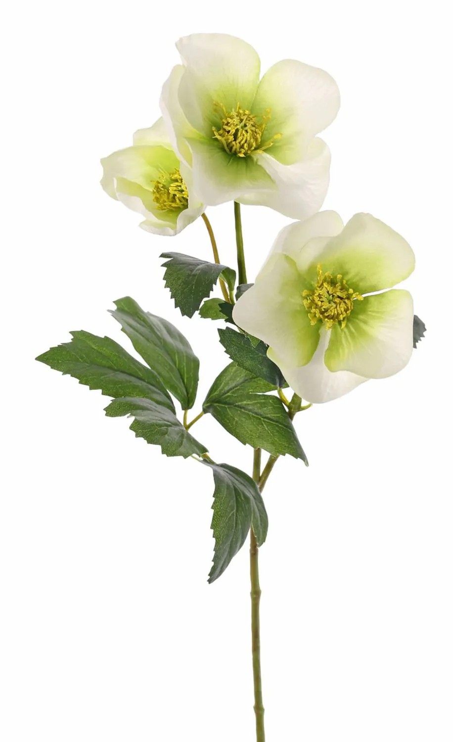 Christmas rose | Artificial Christmas Rose Akrab, Green-White, 18"/45Cm, Ø2"-3.1"/5-8Cm Artificial Flowers Christmas rose