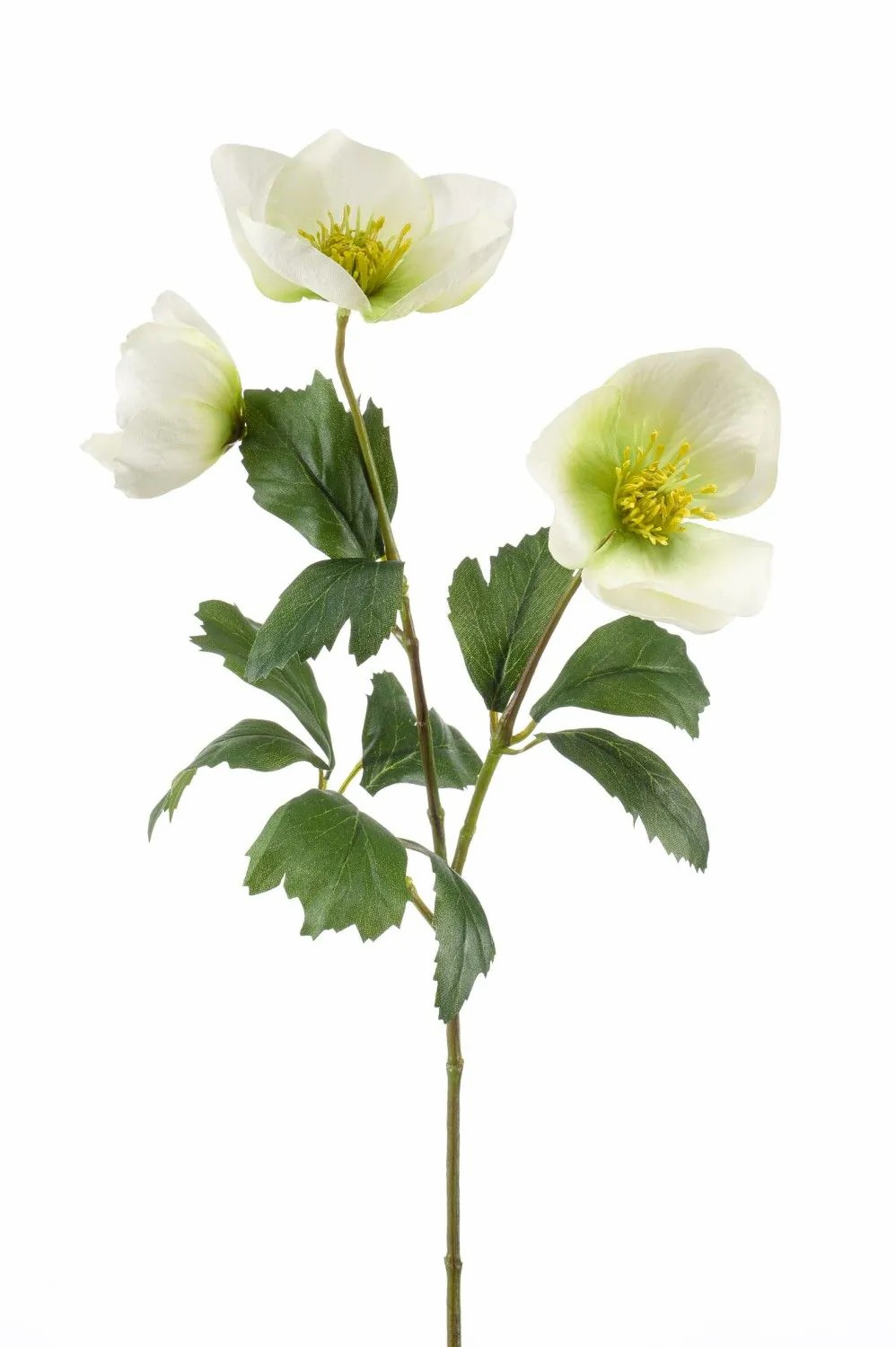 Christmas rose | Artificial Christmas Rose Meruel, White-Green, 18"/45Cm Artificial Flowers Christmas rose