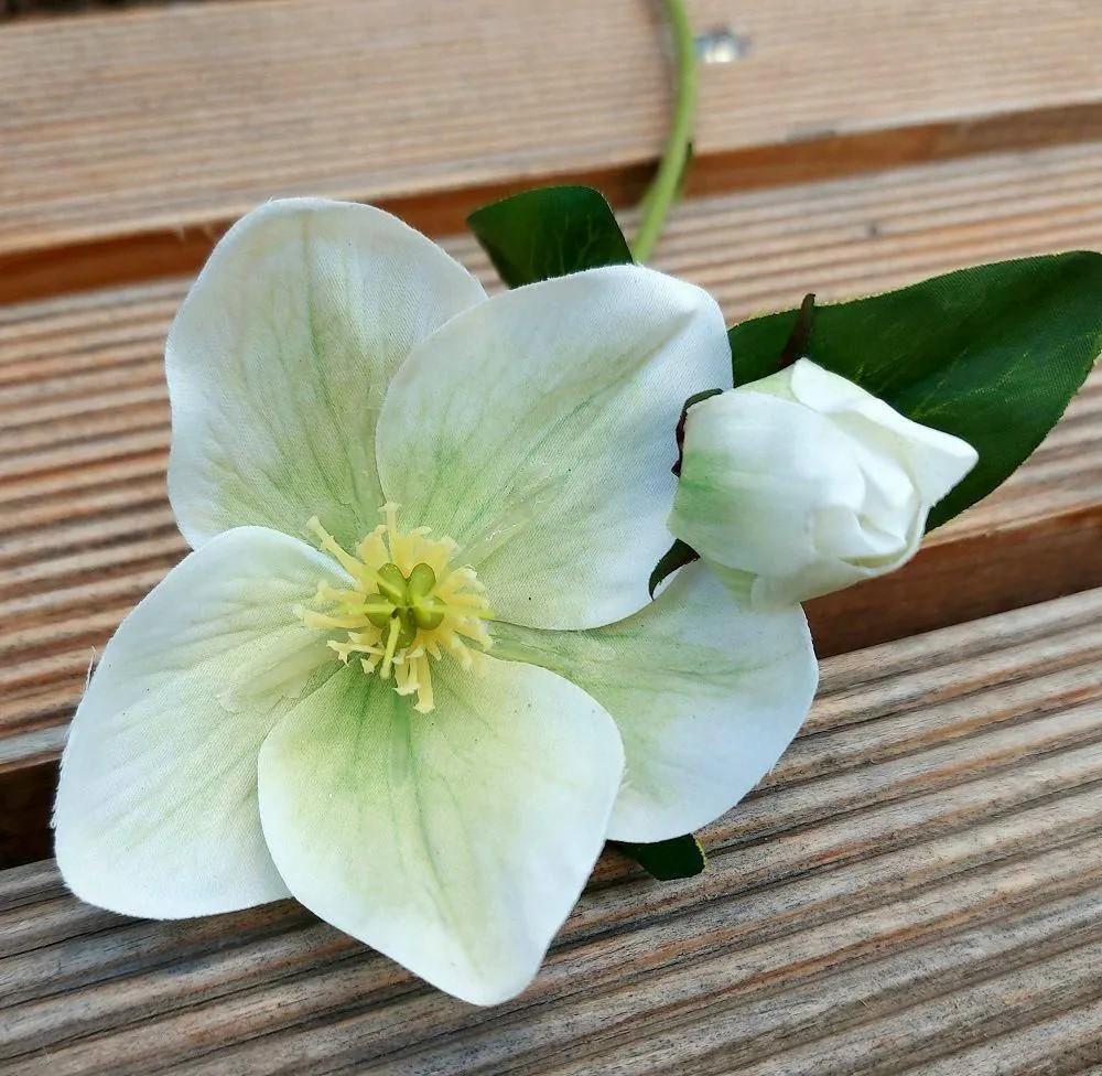 Christmas rose | Artificial Christmas Rose Mittweida, Cream-Green, 14"/35Cm Artificial Flowers Christmas rose