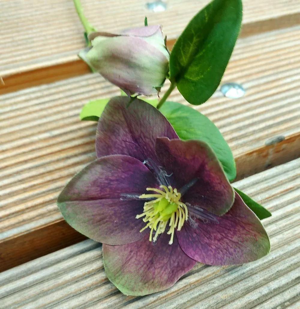 Christmas rose | Artificial Christmas Rose Mittweida, Violet-Green, 14"/35Cm Artificial Flowers Christmas rose