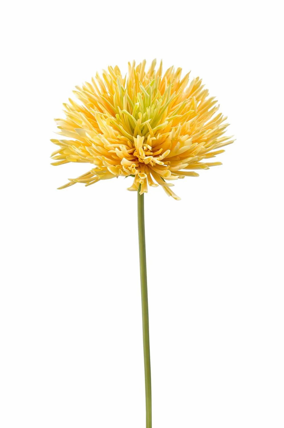 Chrysanthemum | Artificial Chrysanthemum Flower Kisanna, Yellow-Green, 24"/60 Cm Artificial Flowers Chrysanthemum