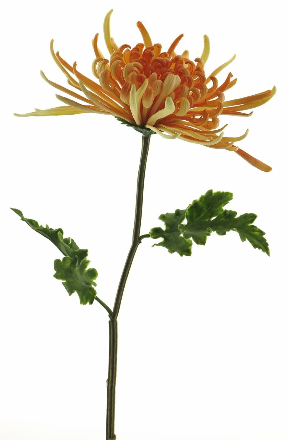 Chrysanthemum | Decorative Chrysanthemum Yasuli, Orange-Yellow, 28"/70Cm Artificial Flowers Chrysanthemum