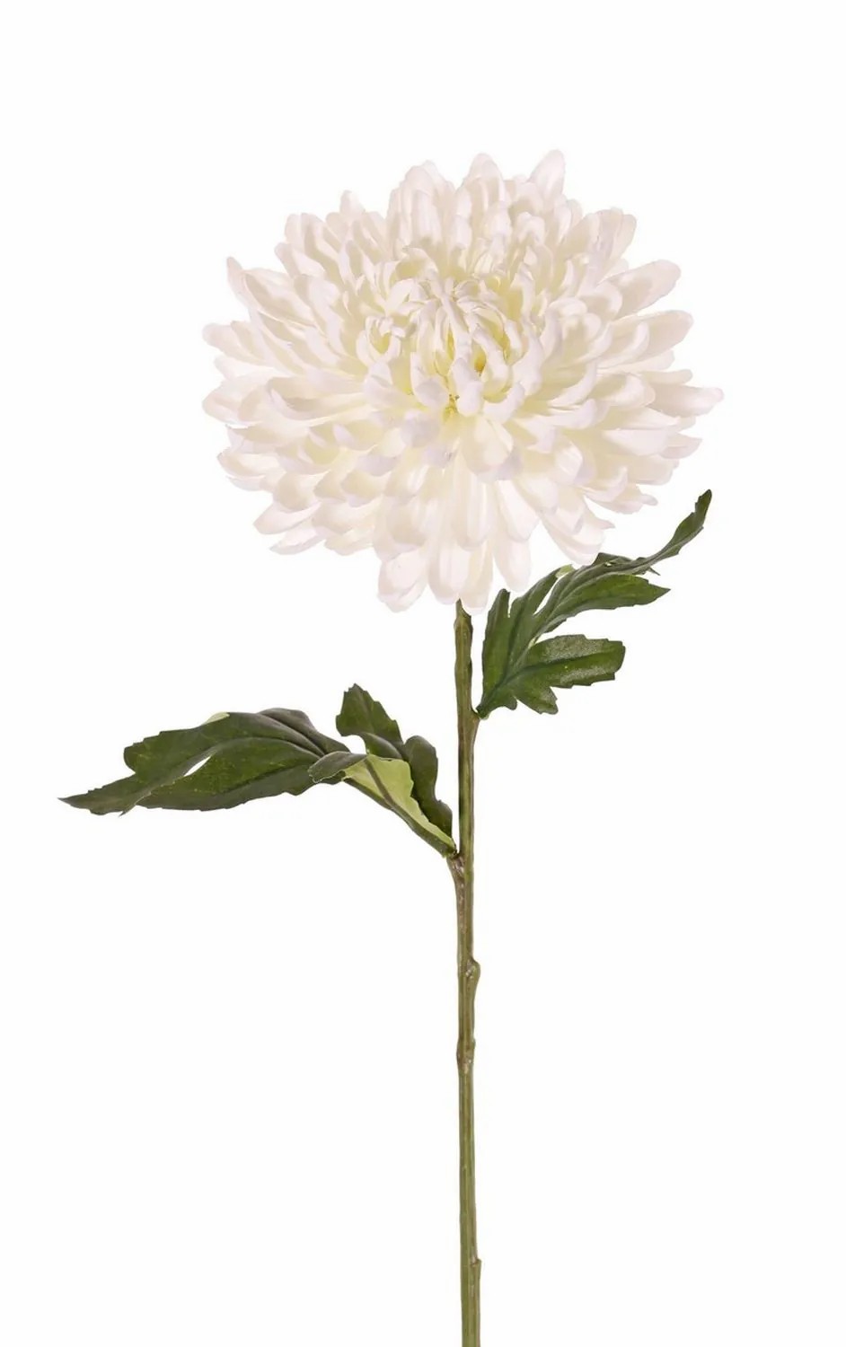 Chrysanthemum | Fake Chrysanthemum Delphina, Cream, 26"/65Cm, Ø5.5"/14Cm Artificial Flowers Chrysanthemum