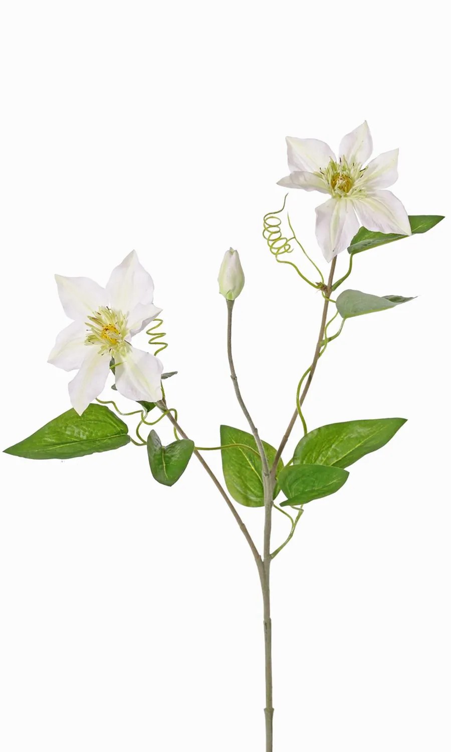 Clematis | Artificial Clematis Doran, White, 30"/75Cm, Ø5.1"/13Cm Artificial Flowers Clematis