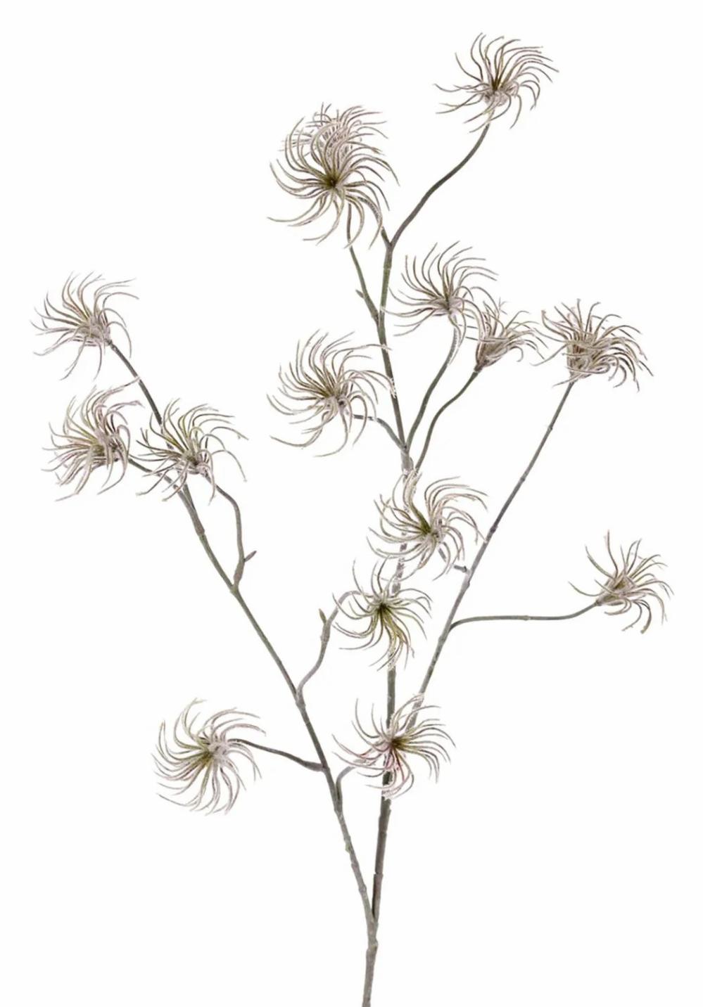 Clematis | Artificial Clematis Seed Pod Harway, Brown, 3Ft/105Cm Artificial Flowers Brown