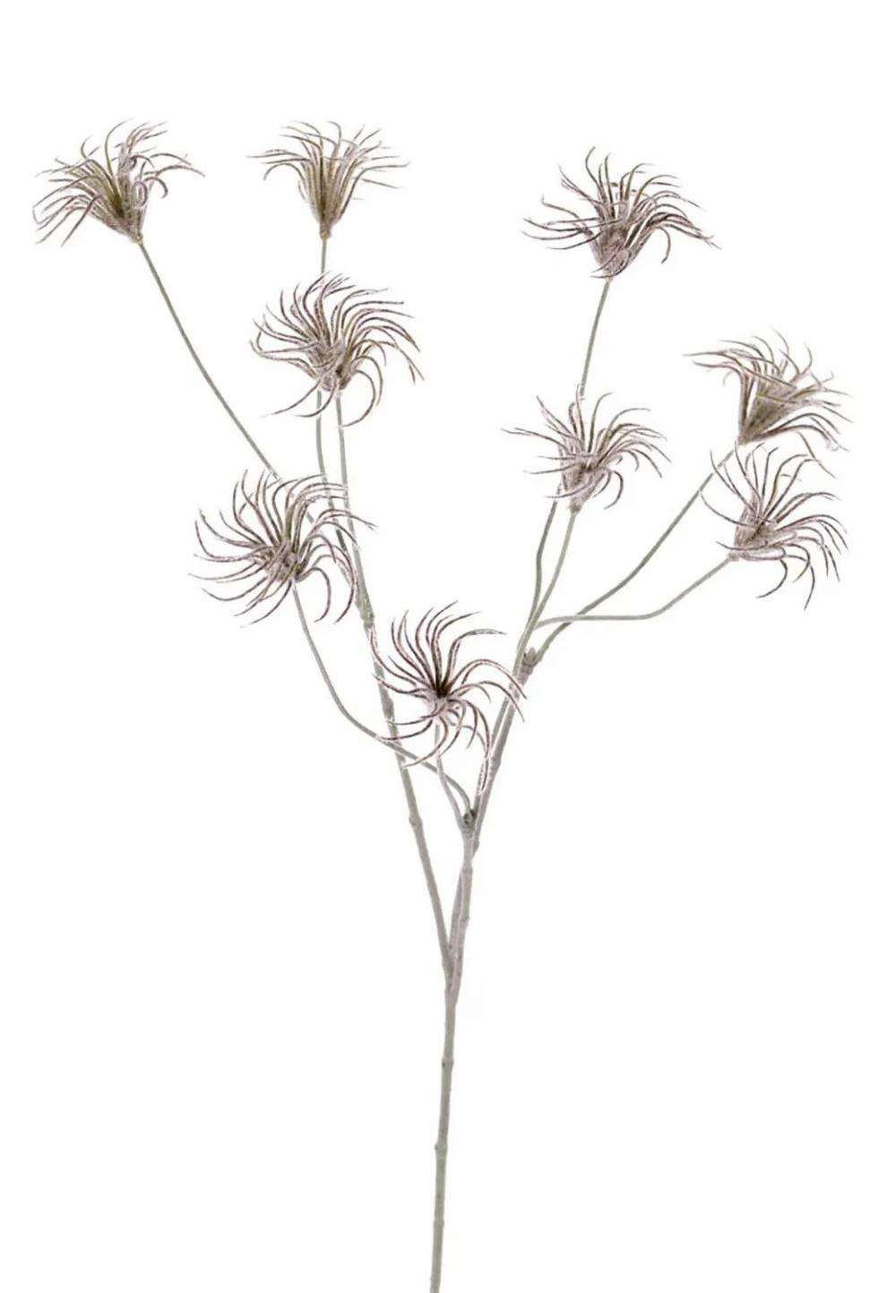 Clematis | Artificial Clematis Seed Pod Harway, Dark Brown, 3Ft/105Cm Artificial Flowers Brown