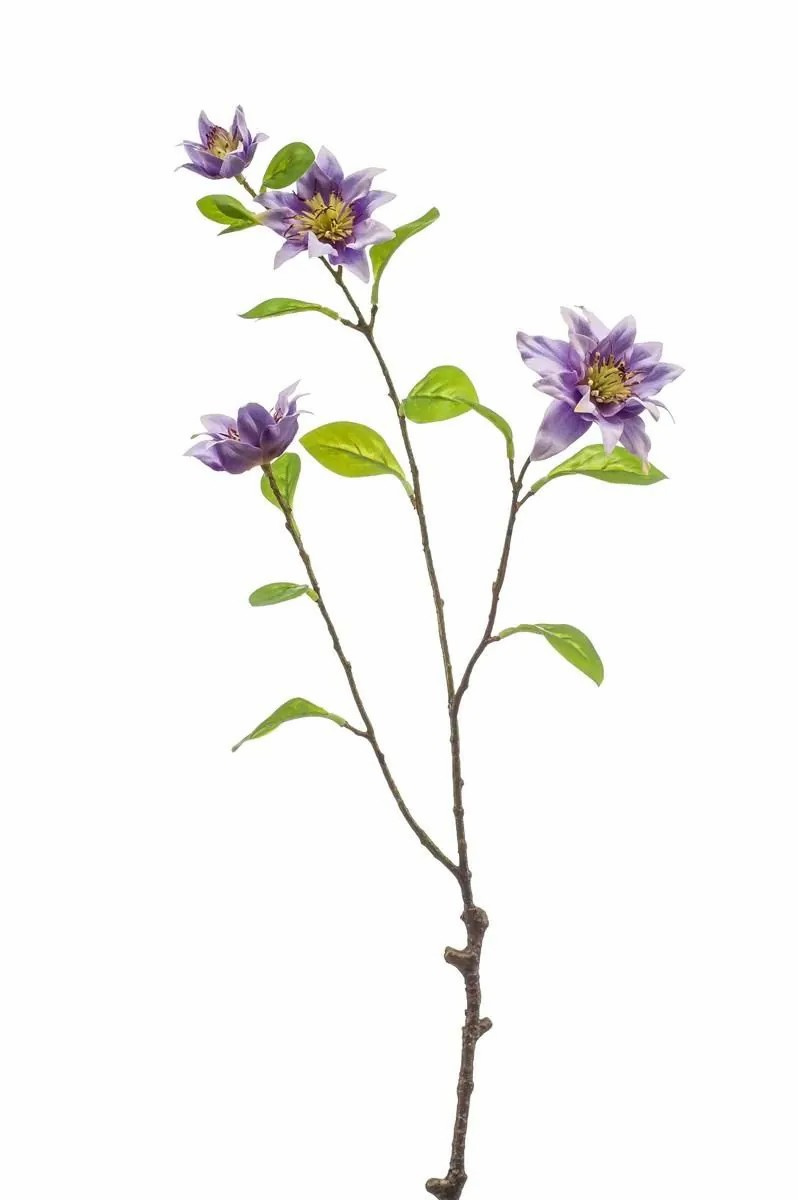 Clematis | Decorative Branch Clematis Ruhna, Purple, 30"/75Cm Artificial Flowers Clematis