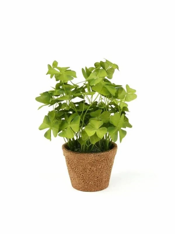 Clover | Artificial Clover Niccolo In Decorative Pot, Green, 10"/25Cm Artificial Plants Clover