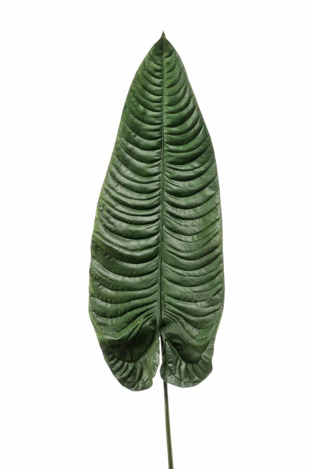 Colocasia | Artificial Alocasia Leaf Abanto, Green, 3Ft/105Cm Artificial Plants Colocasia