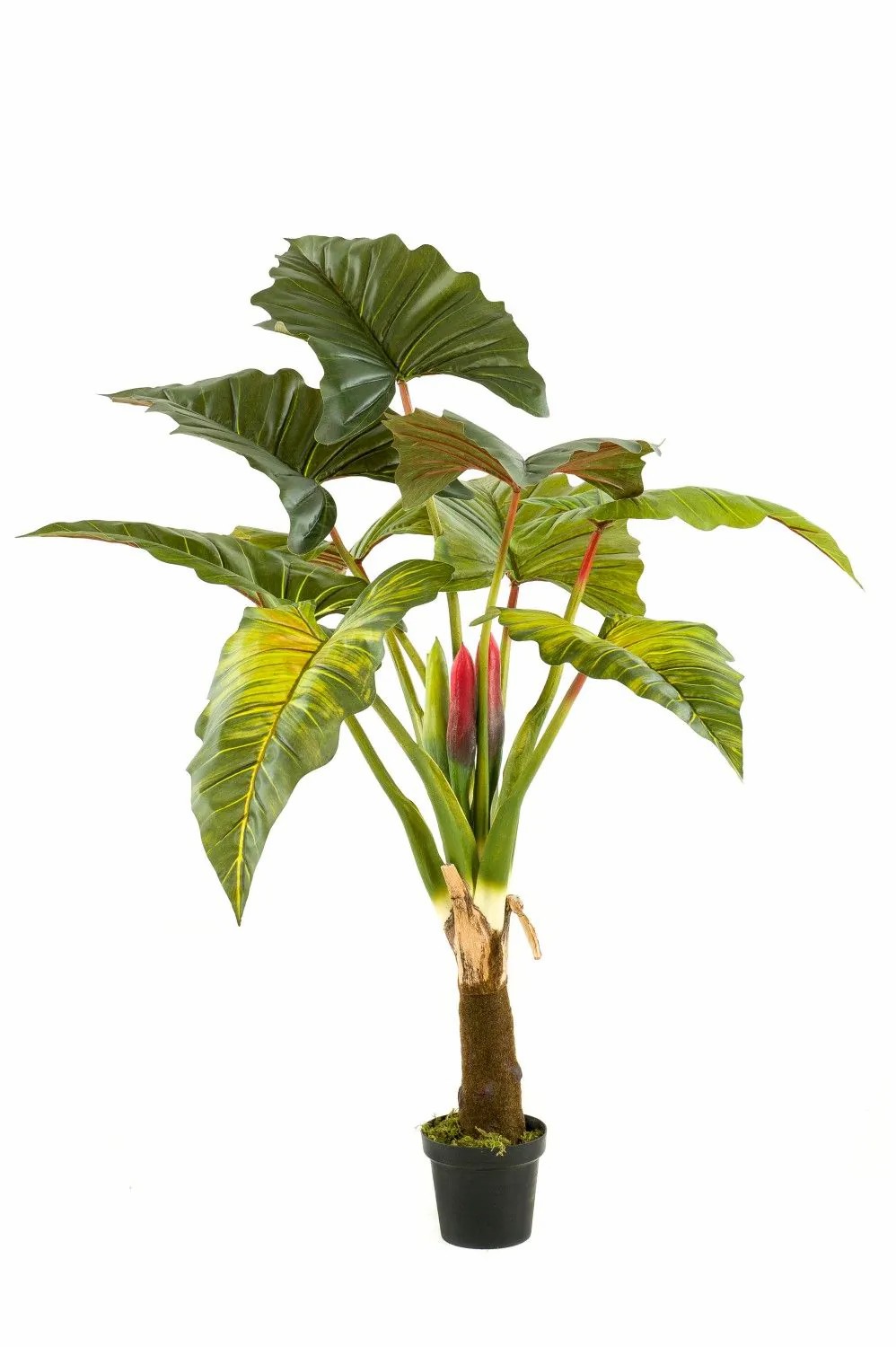 Colocasia | Artificial Colocasia Sotu, Green, 5Ft/160Cm Artificial Plants Colocasia