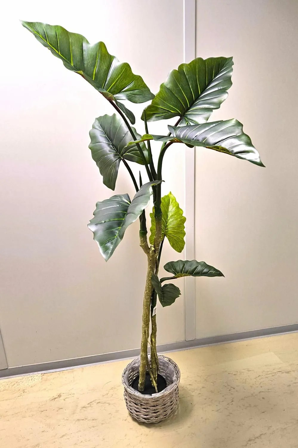 Colocasia | Artificial Colocasia Yorick, Green, 6Ft/180Cm Artificial Plants Colocasia