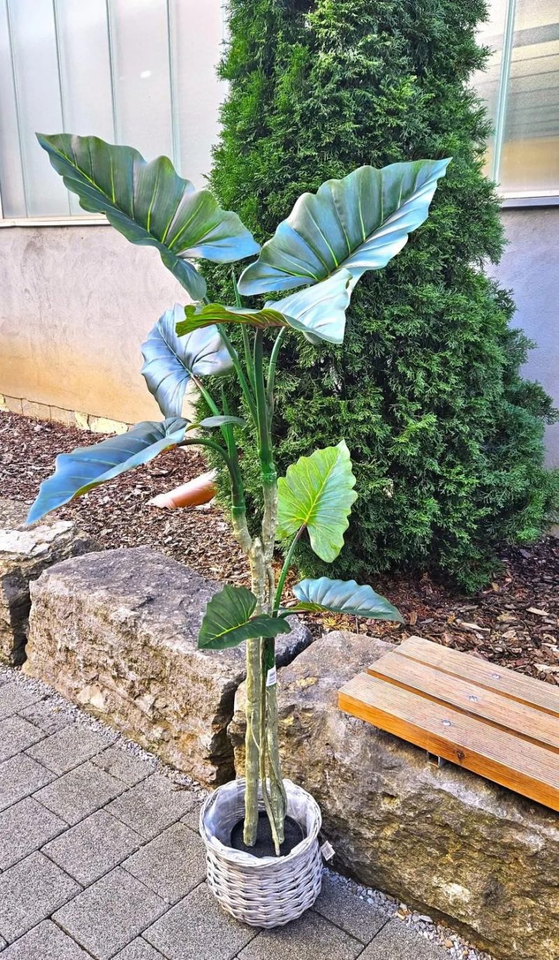 Colocasia | Artificial Colocasia Yorick, Green, 6Ft/180Cm Artificial Plants Colocasia