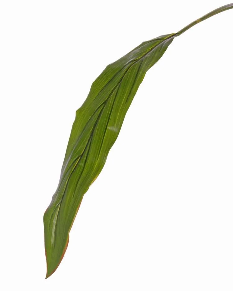 Cordyline | Fake Cordyline Leaf Elara, Green, 3Ft/90Cm Artificial Plants Cordyline