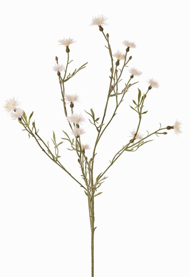 Cornflower | Artificial Flower Cornflower Zenobios, Cream, 31"/80Cm Artificial Flowers Cornflower