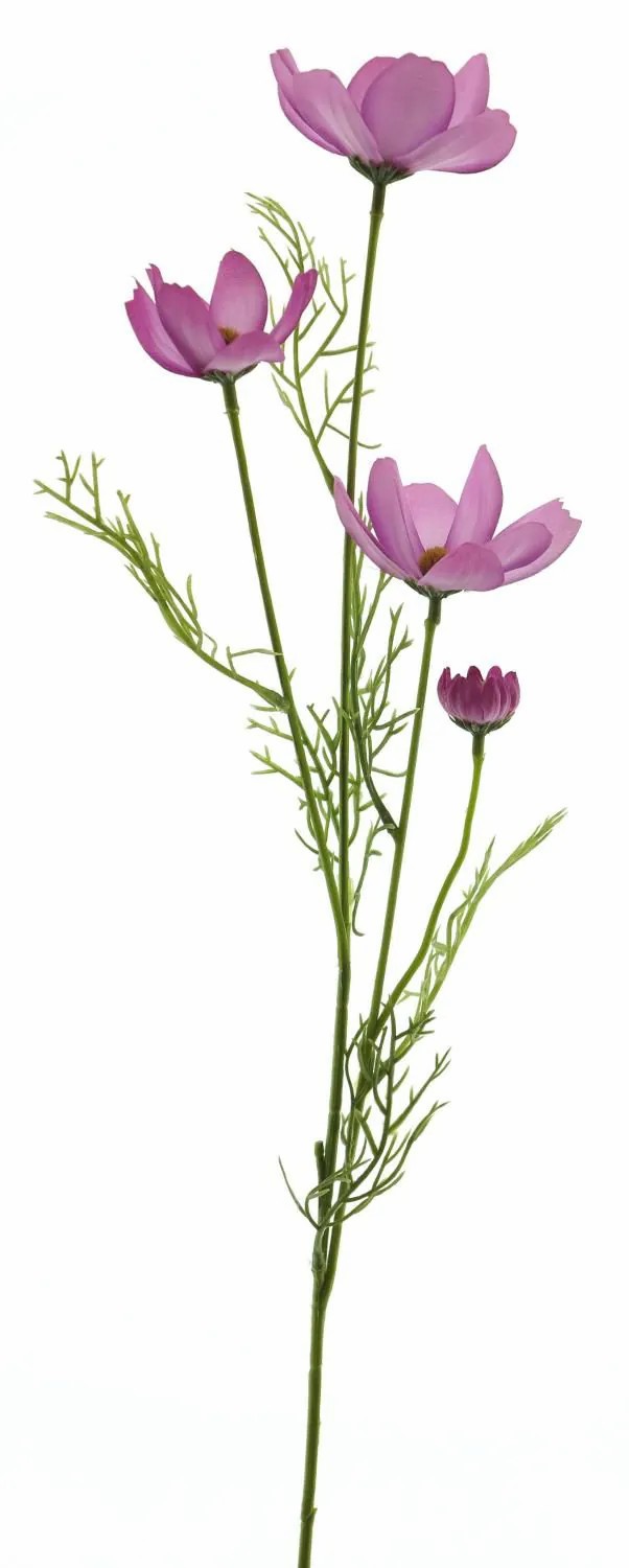 Cosmos | Artificial Cosmos Zhinian, Pink, 24"/60Cm Artificial Flowers Cosmos