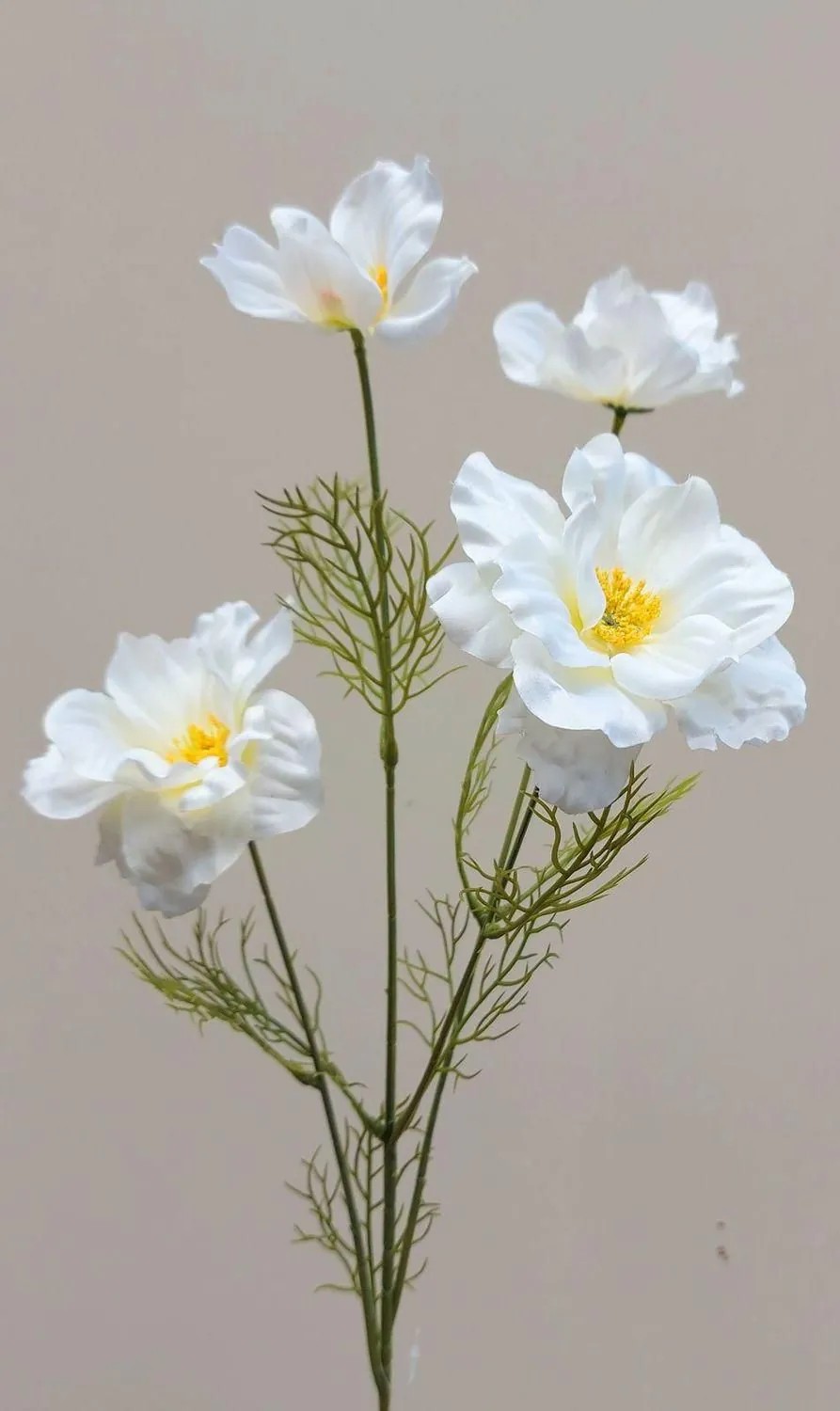 Cosmos | Decorative Flower Branch Cosmos Prestiosa, Cream-White, 30"/75Cm Artificial Flowers Cosmos