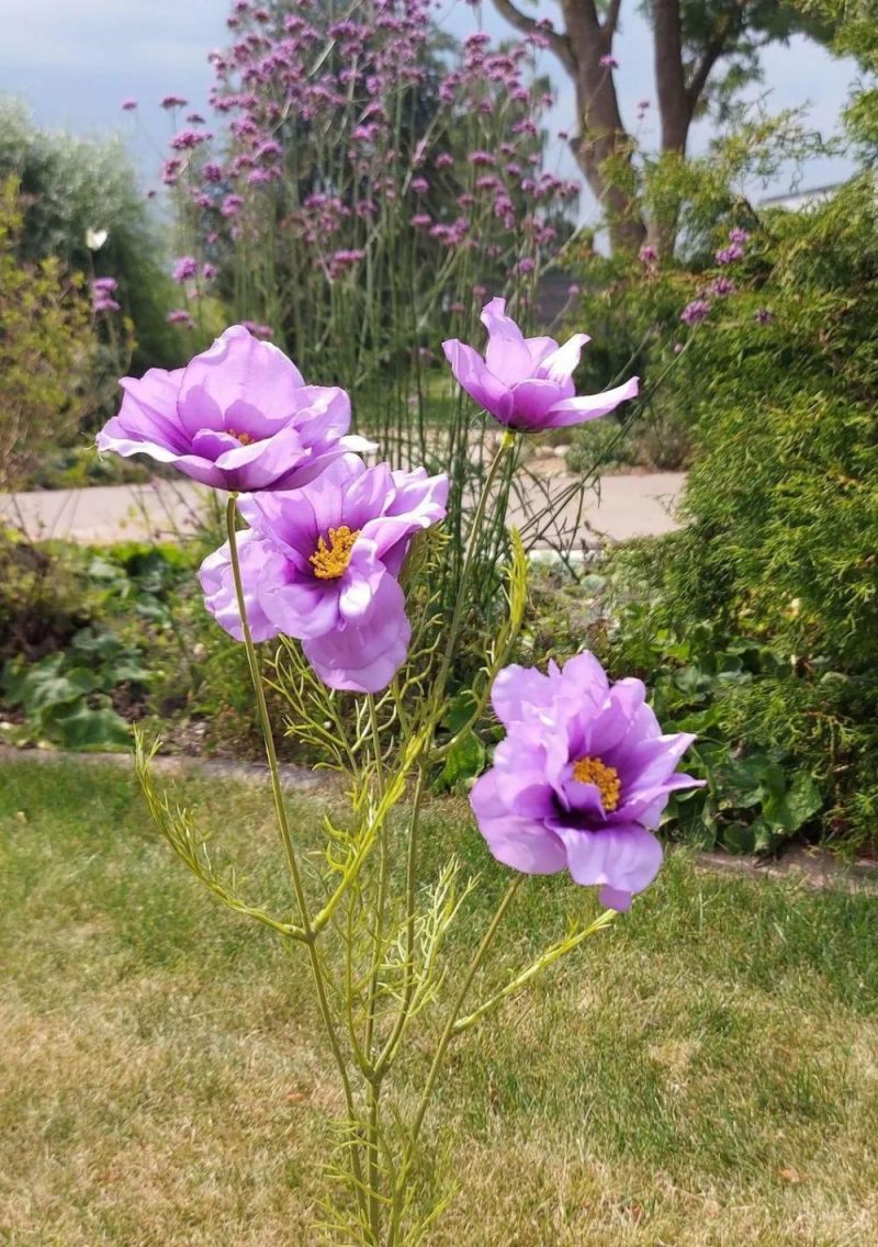 Cosmos | Decorative Flower Branch Cosmos Prestiosa, Purple, 30"/75Cm Artificial Flowers Cosmos