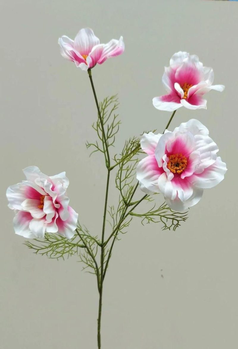 Cosmos | Decorative Flower Branch Cosmos Prestiosa, White-Pink, 30"/75Cm Artificial Flowers Cosmos