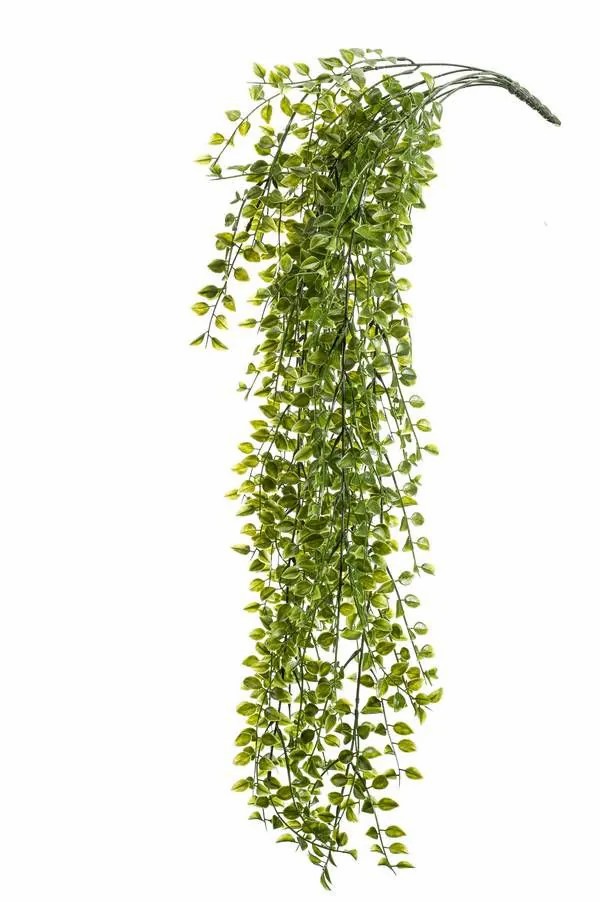 Creeping fig | Artificial Climbing Fig Cabot On Spike, Crossdoor, 31"/80Cm Artificial Plants Creeping fig