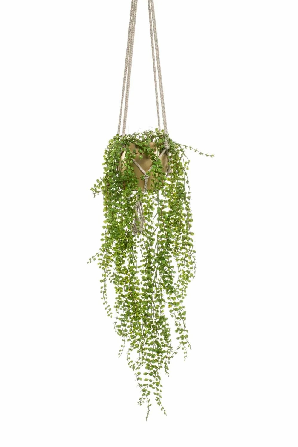 Creeping fig | Artificial Climbing Fig Hanging Basket Amador, Golden Ceramic Pot, Green, 3Ft/100Cm Artificial Plants Creeping fig