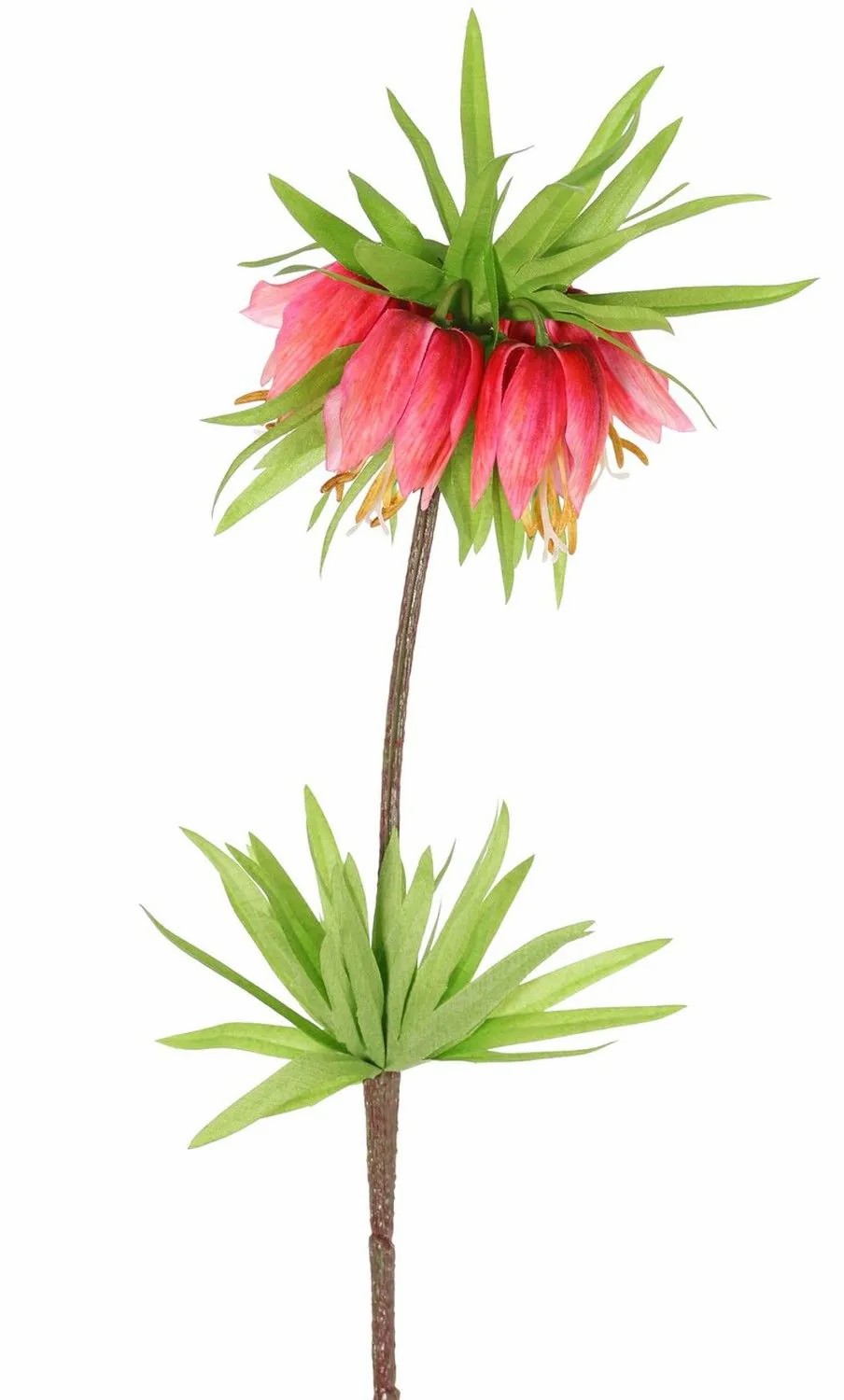 Crown imperial | False Fritillaria Imperialis Imst, Fuchsia, 26"/65Cm Artificial Flowers Crown imperial