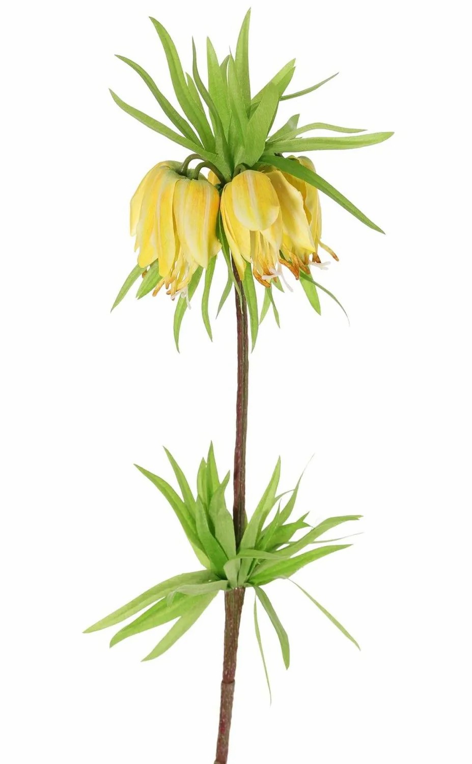 Crown imperial | False Fritillaria Imperialis Imst, Yellow, 26"/65Cm Artificial Flowers Crown imperial