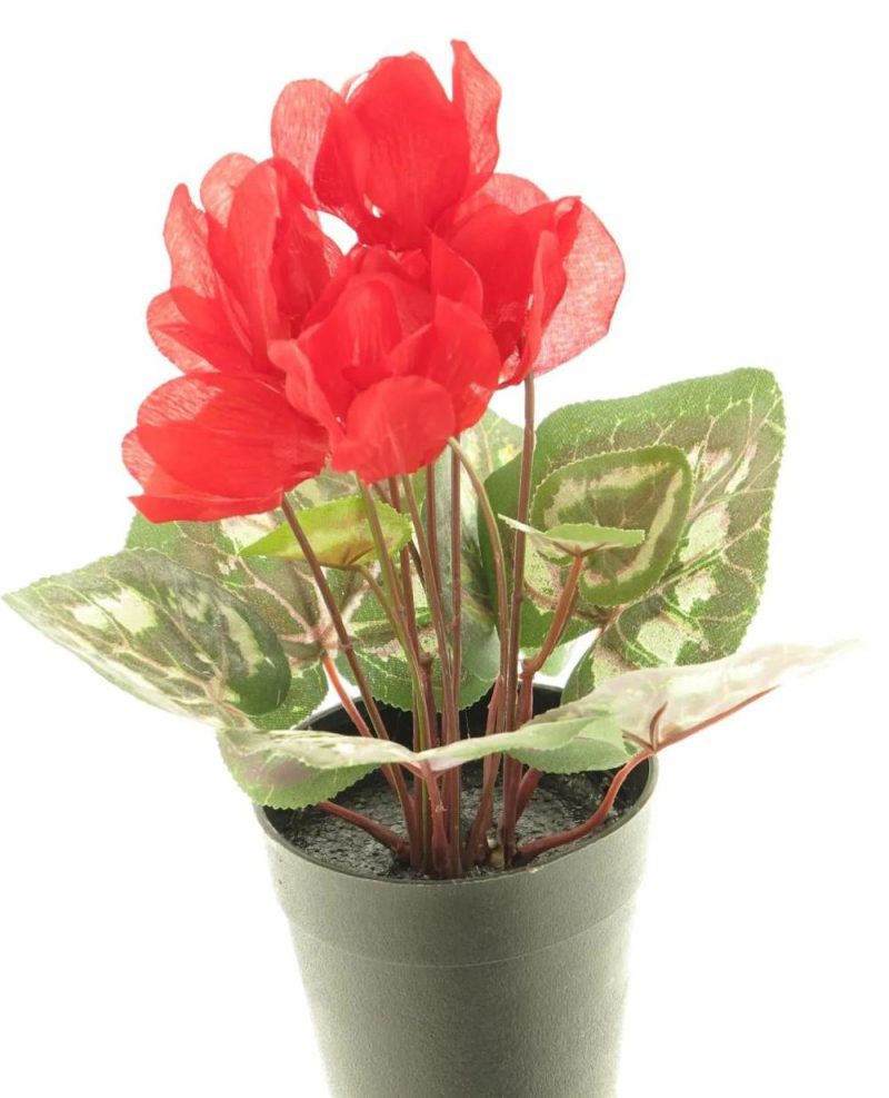 Cyclamen | Artificial Cyclamen Xiaoguo, Red, 10"/25Cm Artificial Flowers Cyclamen